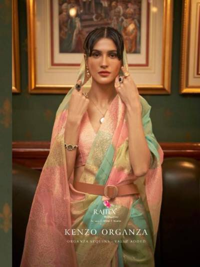 Kenzo Organza By Rajtex Traditional Ethnic Wear Saree Collection
